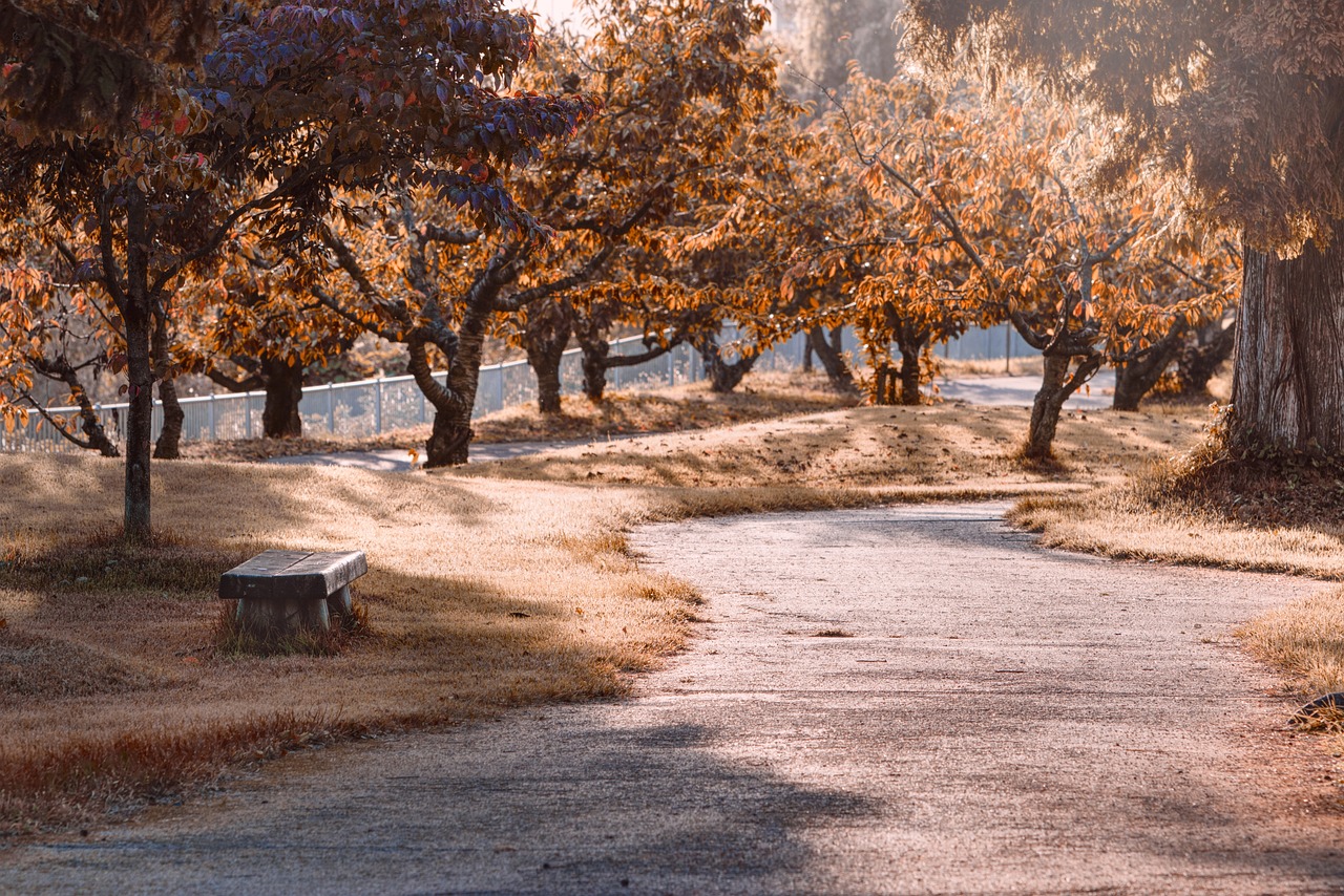 A Guide to the Most Scenic Drives in the United States